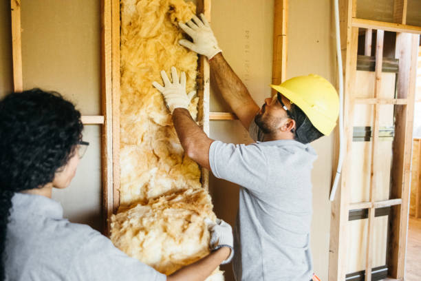 Types of Insulation We Offer in Morse, LA